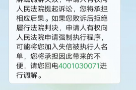 东至为什么选择专业追讨公司来处理您的债务纠纷？